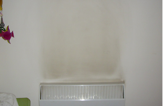 辦公室墻面養(yǎng)護(hù)、保護(hù)